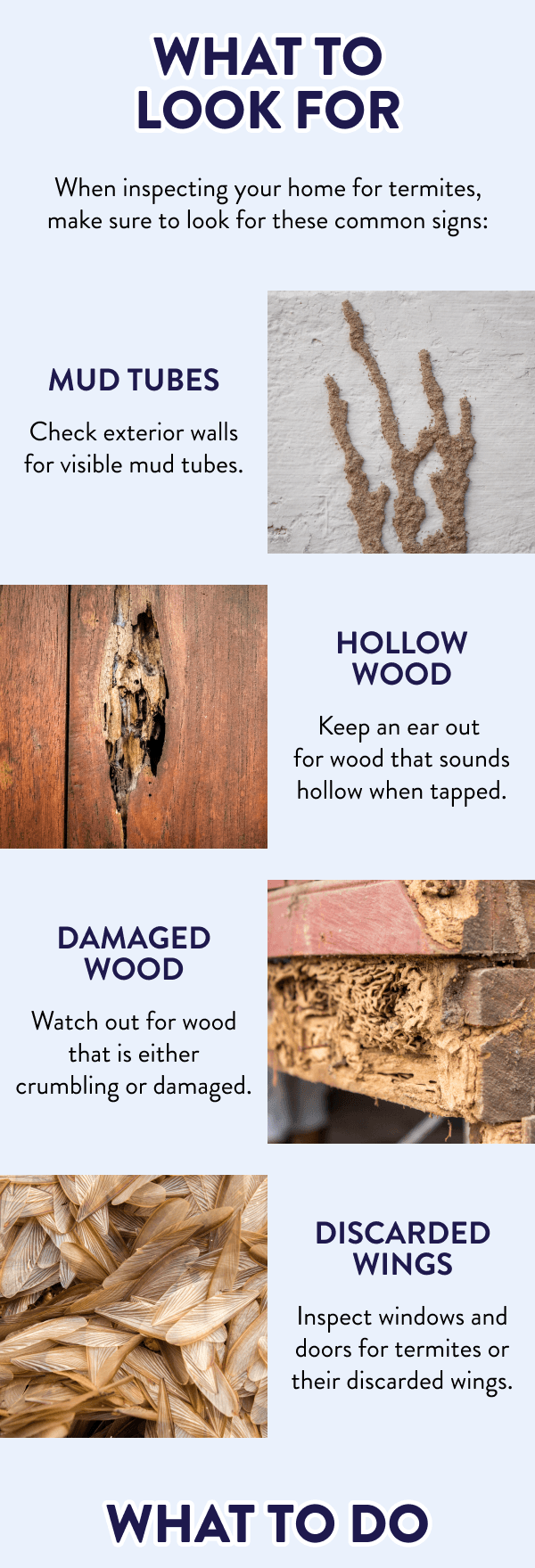 What to Look For When inspecting your home for termites, make sure to look for these common signs: Mud tubes Check exterior walls for visible mud tubes. Hollow wood Keep an ear out for wood that sounds hollow when tapped. Damaged wood Watch out for wood that is either crumbling or damaged. Discarded wings Inspect windows and doors for termites or their discarded wings. What to Do