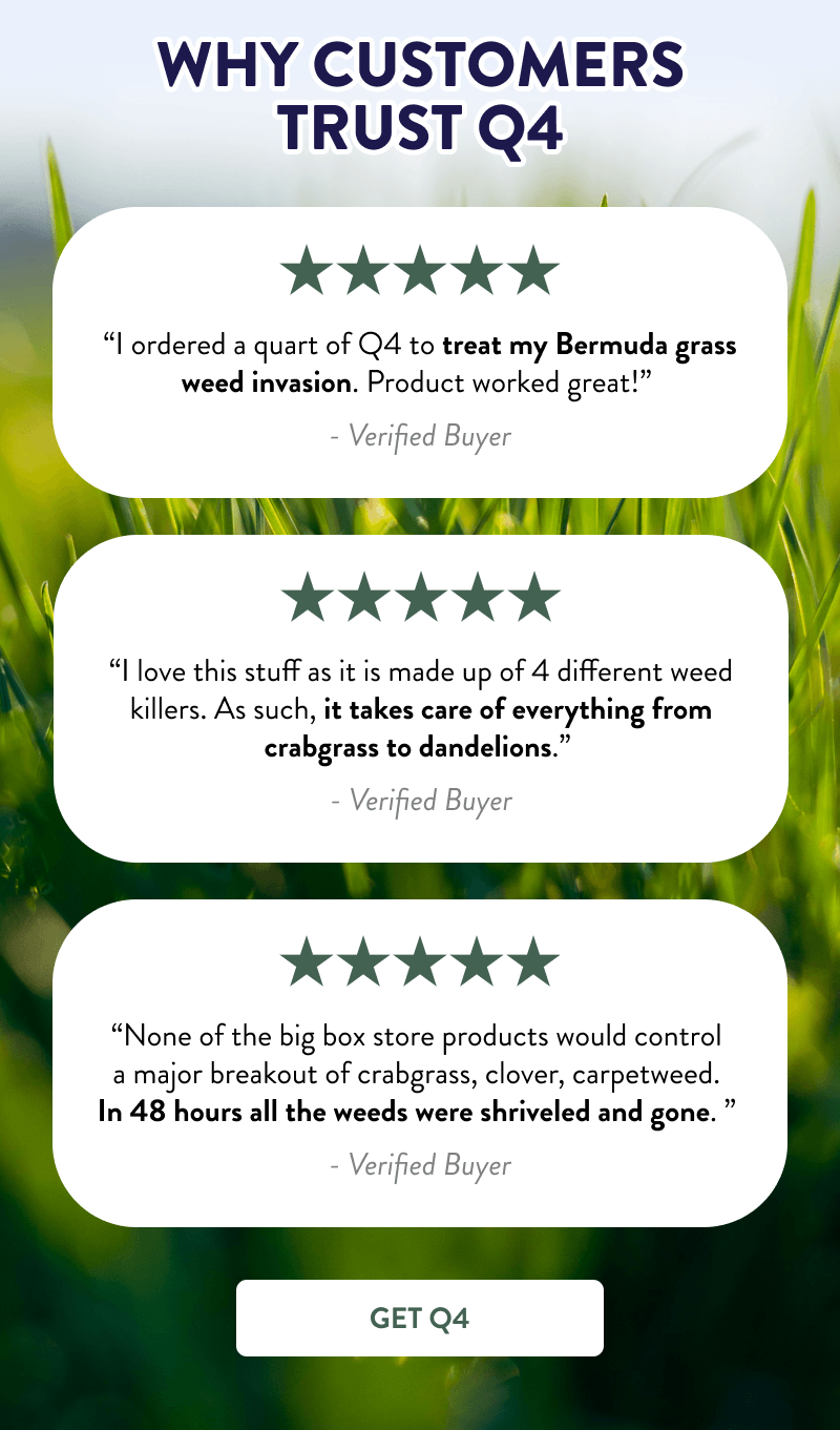 Why Customers Trust Q4  “I ordered a quart of Q4 to treat my Bermuda grass weed invasion. Product worked great!” -  ✅ Verified Buyer  “I love this stuff as it is made up of 4 different weed killers. As such, it takes care of everything from crabgrass to dandelions.” - ✅ Verified Buyer  “None of the big box store products would control a major breakout of crabgrass, clover, carpetweed. In 48 hours all the weeds were shriveled and gone. ” - ✅ Verified Buyer  [GET Q4]