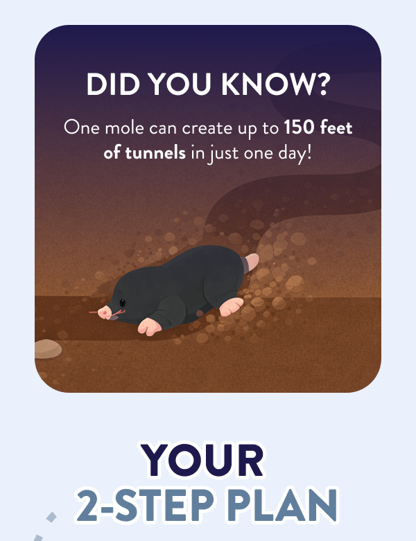 Did You Know? One mole can create up to 150 feet of tunnels in just one day! Your 2-Step Plan
