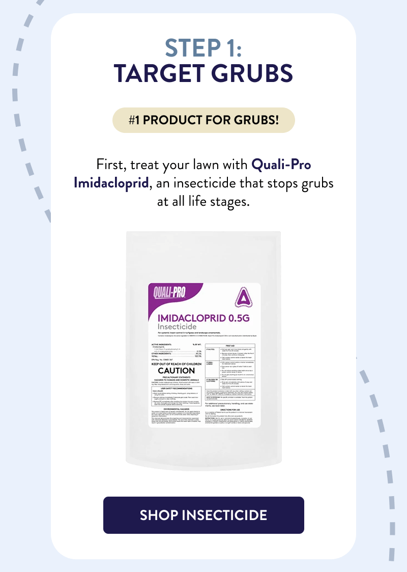 Step 1: Target Grubs  #1 product for grubs!  First, treat your lawn with Quali-Pro Imidacloprid, an insecticide that stops grubs at all life stages.  [SHOP INSECTICIDE]