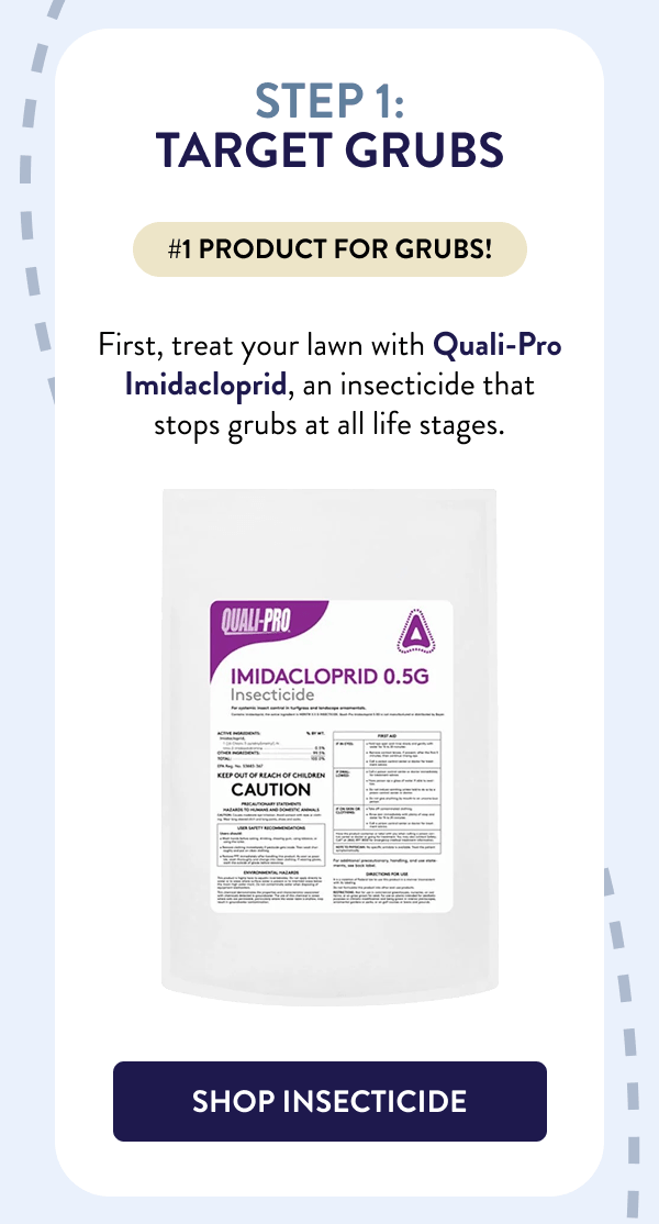 Step 1: Target Grubs #1 product for grubs! First, treat your lawn with Quali-Pro Imidacloprid, an insecticide that stops grubs at all life stages. [SHOP INSECTICIDE]
