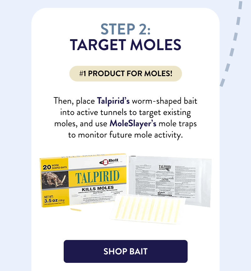 Step 2: Target Moles  #1 product for moles!  Then, place Talpirid’s worm-shaped bait into active tunnels to target existing moles, and use MoleSlayer’s mole traps to monitor future mole activity.  [SHOP BAIT]