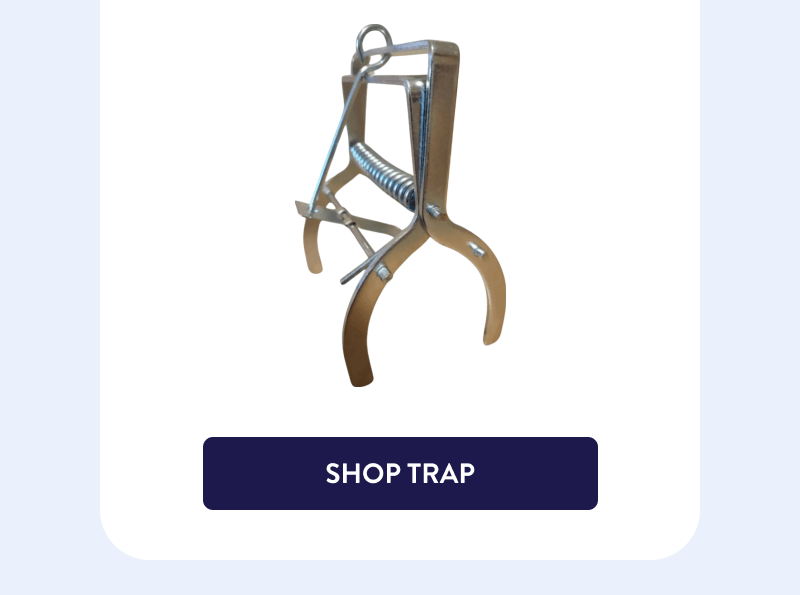 [SHOP TRAP]