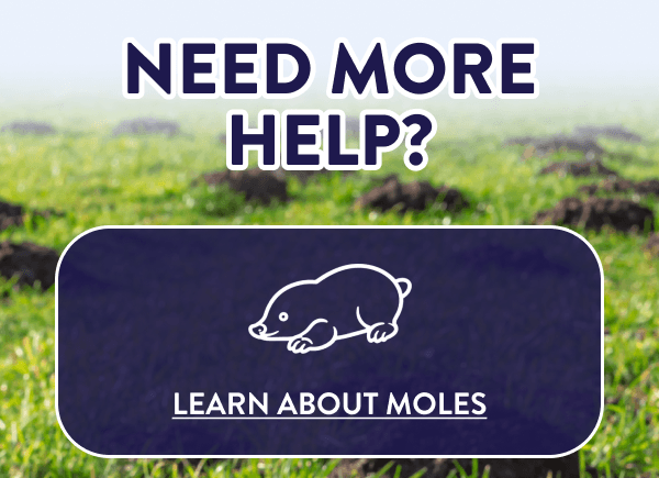 Need More Help? LEARN ABOUT MOLES