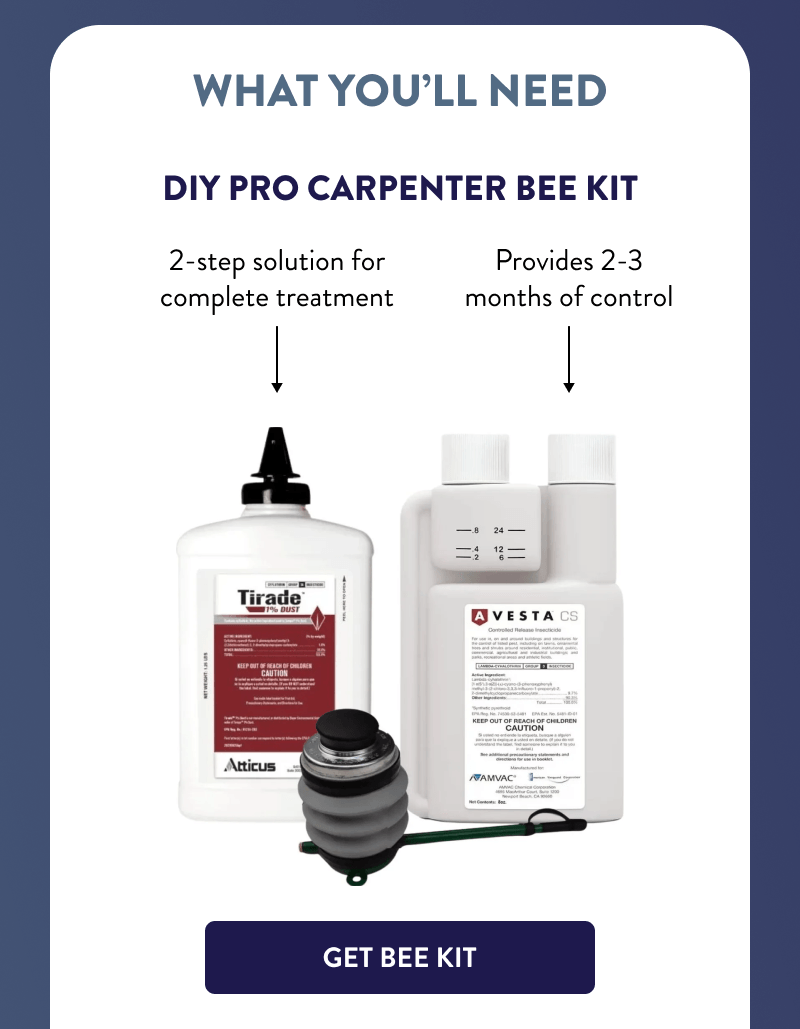 What You’ll Need  DIY Pro Carpenter Bee Kit  ↷ 2-step solution for complete treatment ↷ Provides 2-3 months of control  [GET BEE KIT]