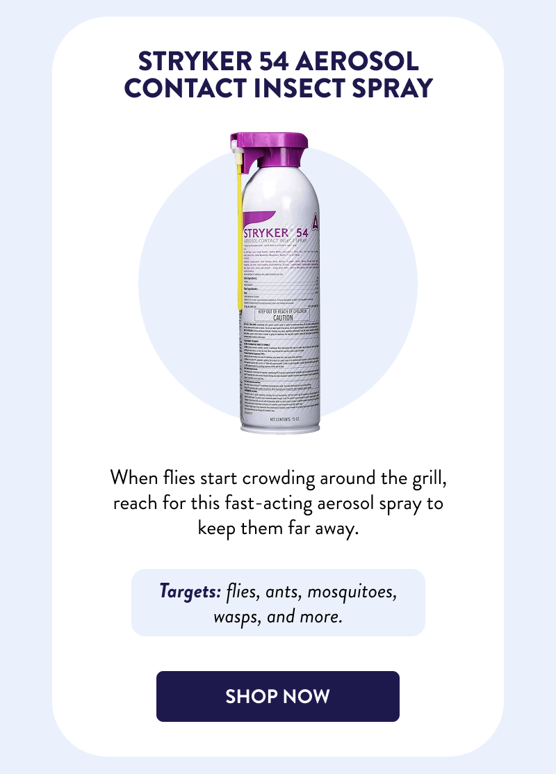 Stryker 54 Aerosol Contact Insect Spray  When flies start crowding around the grill, reach for this fast-acting aerosol spray to keep them far away.  Targets: flies, ants, mosquitoes, wasps, and more.  [SHOP NOW]