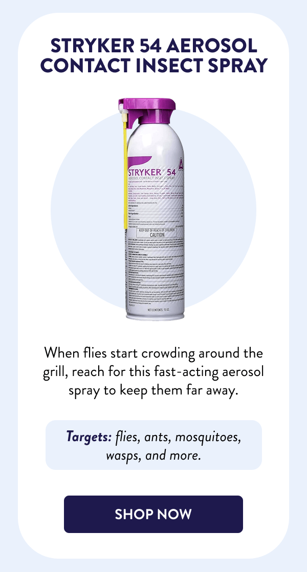 Stryker 54 Aerosol Contact Insect Spray When flies start crowding around the grill, reach for this fast-acting aerosol spray to keep them far away. Targets: flies, ants, mosquitoes, wasps, and more. [SHOP NOW]
