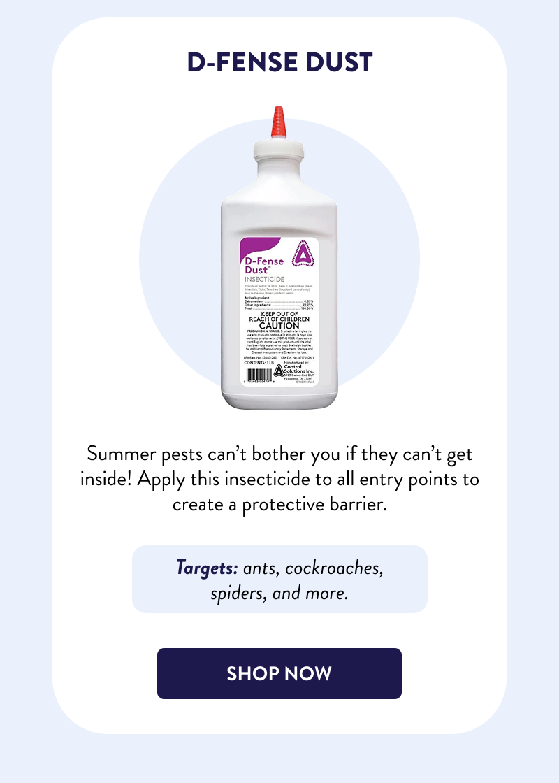 D-Fense Dust  Summer pests can’t bother you if they can’t get inside! Apply this insecticide to all entry points to create a protective barrier.  Targets: ants, cockroaches, spiders, and more.  [SHOP NOW]