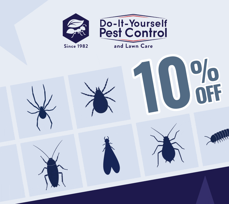 10% OFF