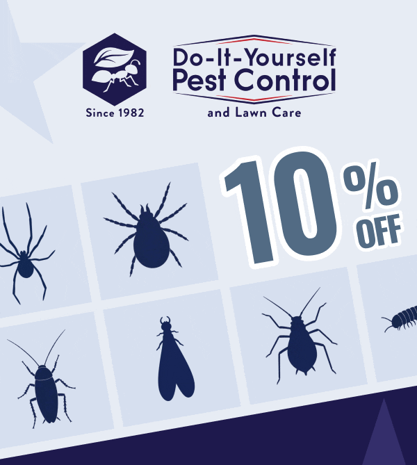 10% OFF