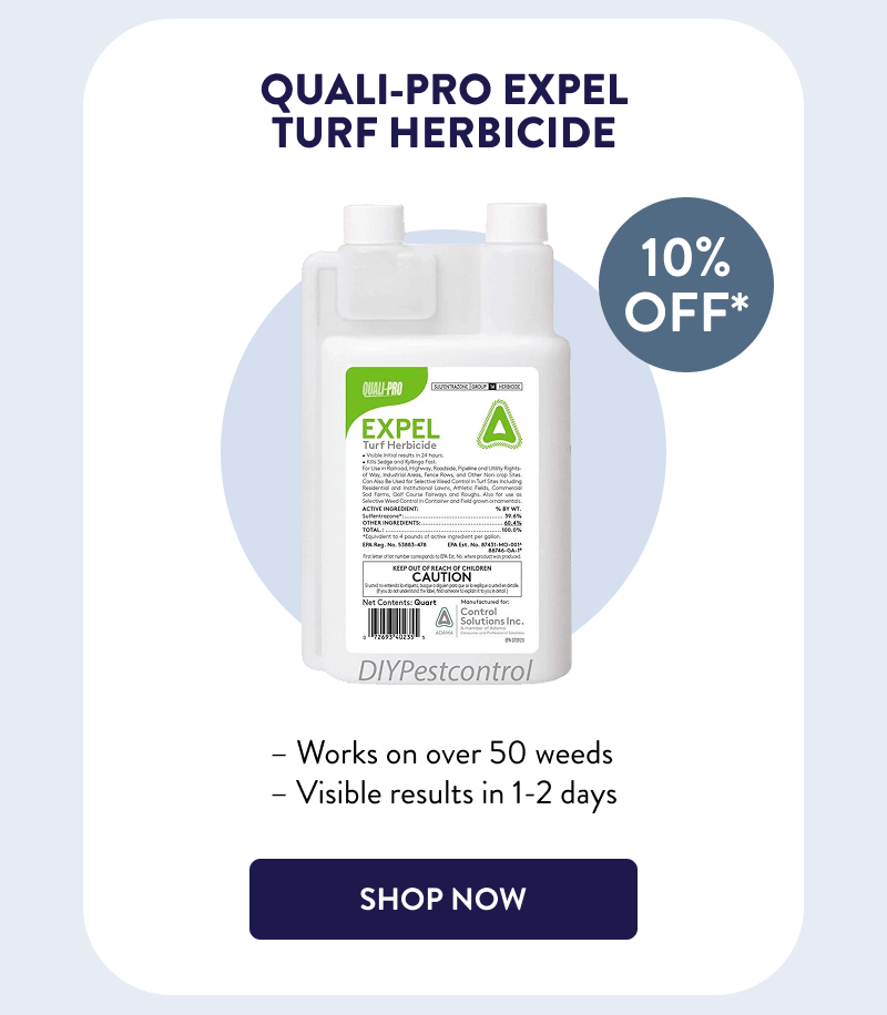 Quali-Pro Expel Turf Herbicide  – Works on over 50 weeds  – Visible results in 1-2 days  [SHOP NOW]