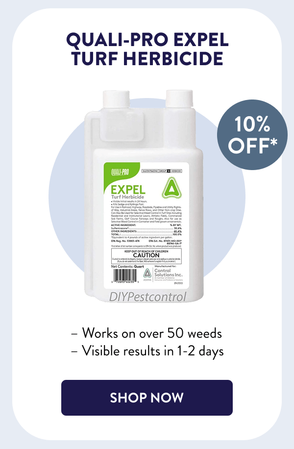 Quali-Pro Expel Turf Herbicide – Works on over 50 weeds – Visible results in 1-2 days [SHOP NOW]
