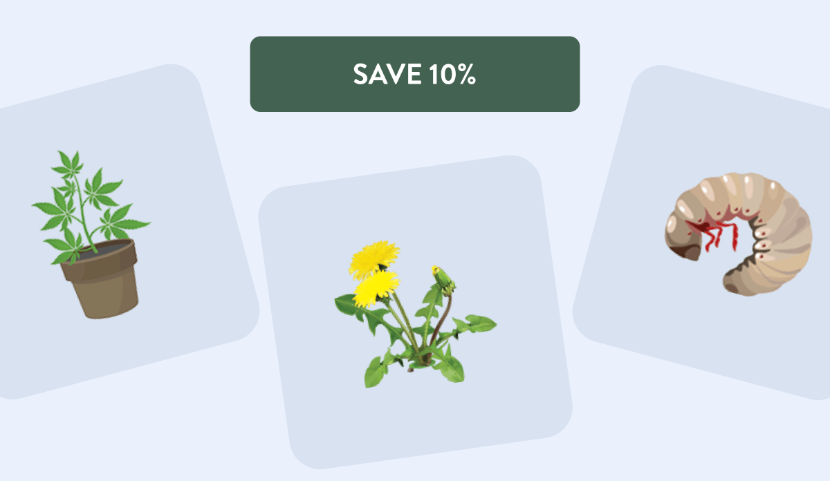 [SAVE 10%]