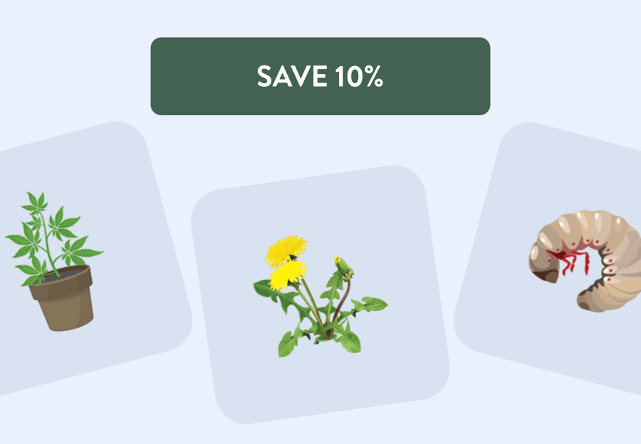 [SAVE 10%]