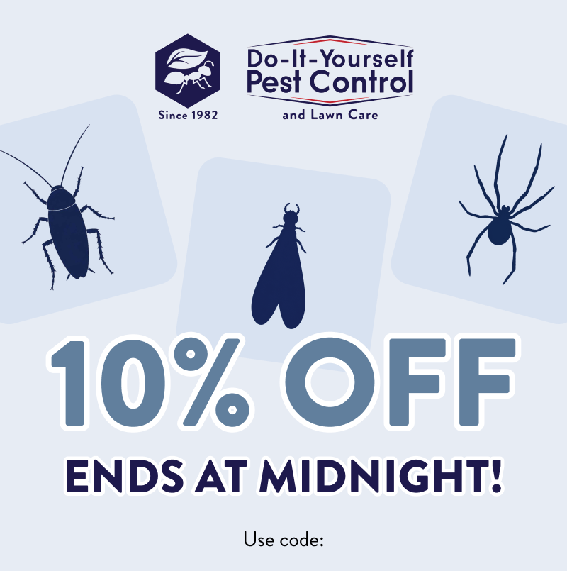 10% Off* Ends at Midnight! Use code: