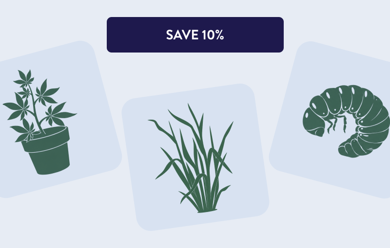 [SAVE 10%]