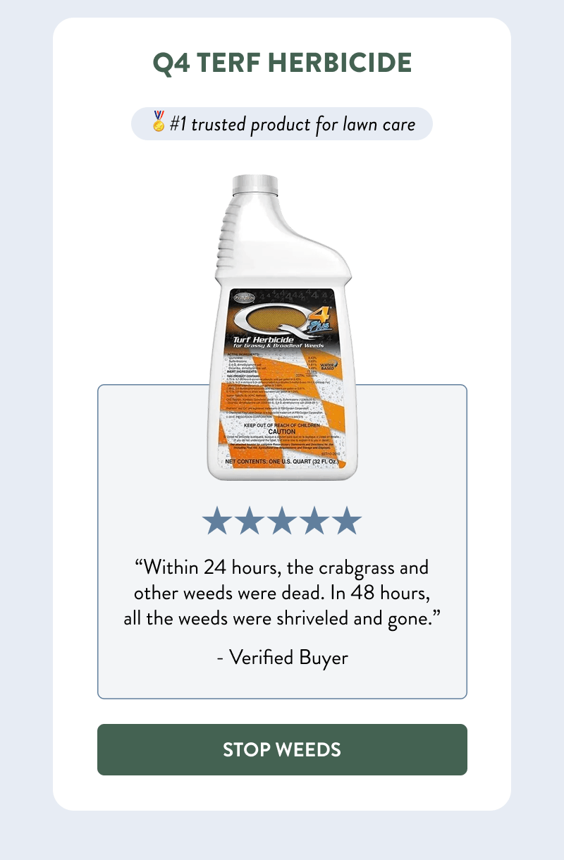 Q4 Terf Herbicide  🏅#1 trusted product for lawn care  “Within 24 hours, the crabgrass and other weeds were dead. In 48 hours, all the weeds were shriveled and gone.” - Verified Buyer  [STOP WEEDS]