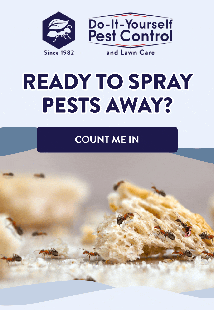 Ready to Spray Pests Away? [COUNT ME IN]