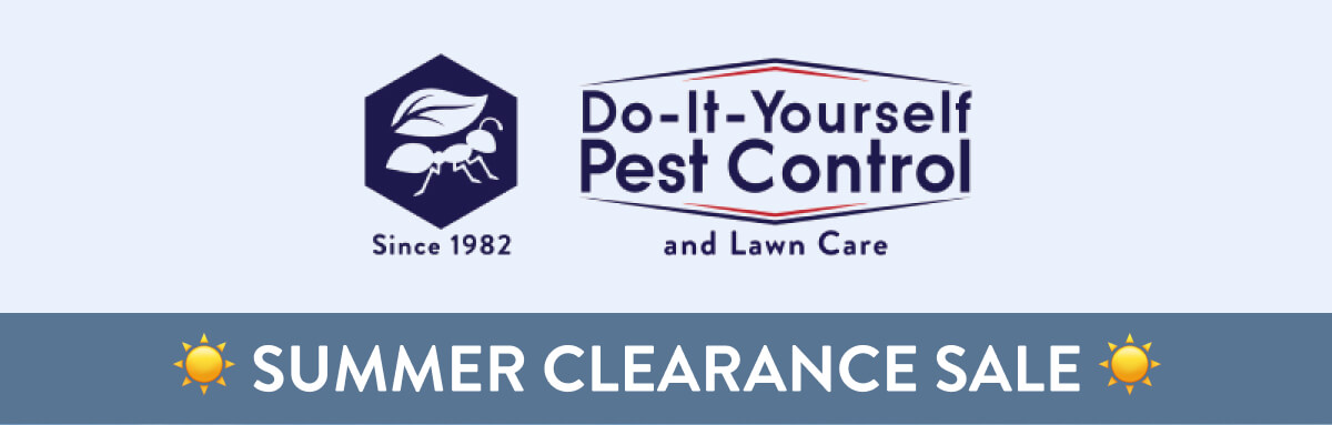 SUMMER CLEARANCE SALE