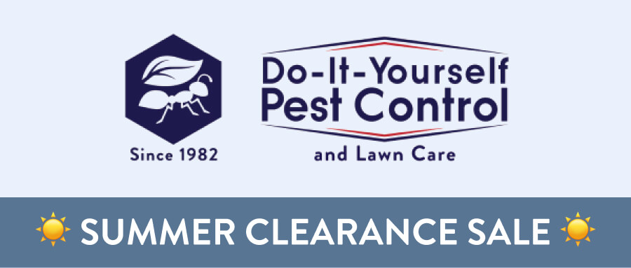 SUMMER CLEARANCE SALE