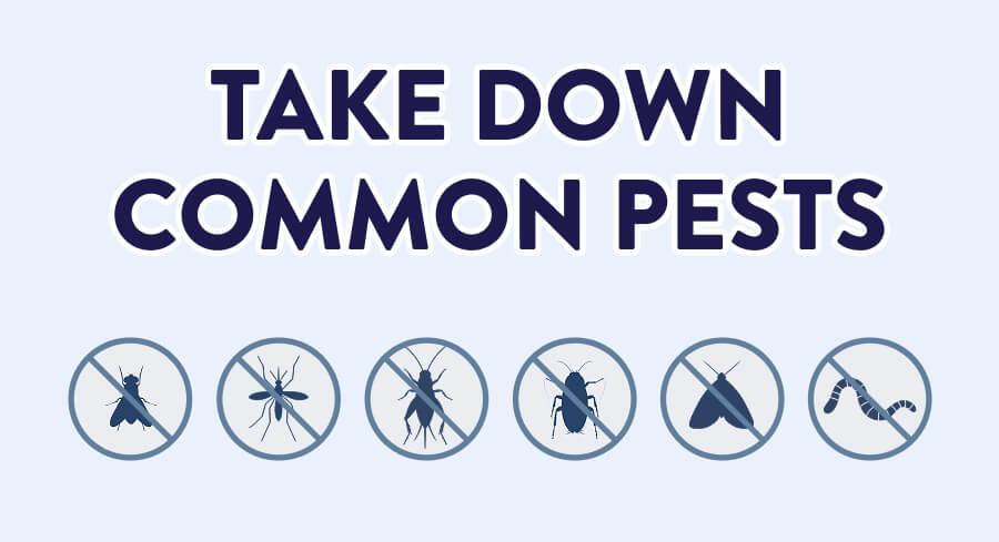 Take Down Common Pests – Flies – Mosquitoes – Crickets – Roaches – Moths – Worms
