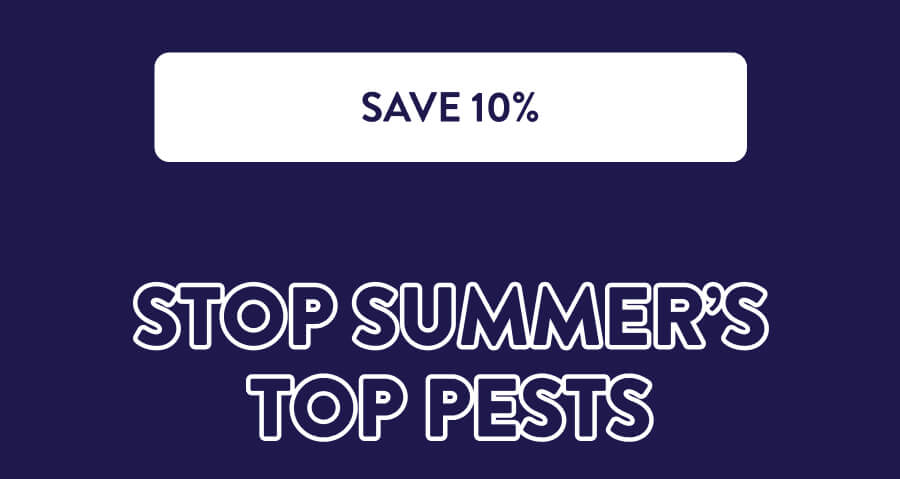 [SAVE 10%] Stop Summer’s Top Pests
