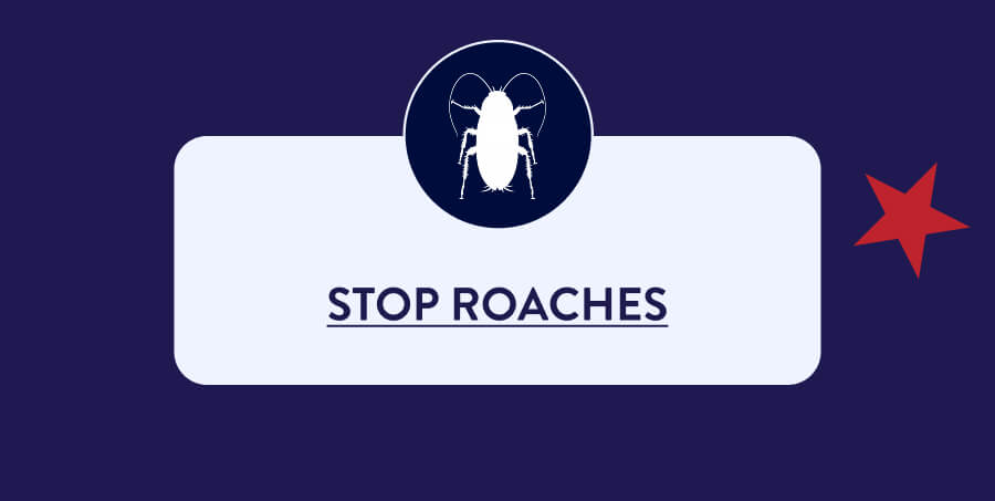 STOP ROACHES