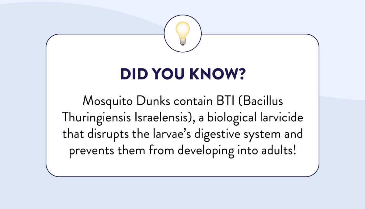 💡Did You Know  Mosquito Dunks contain BTI (Bacillus Thuringiensis Israelensis), a biological larvicide that disrupts the larvae’s digestive system and prevents them from developing into adults!