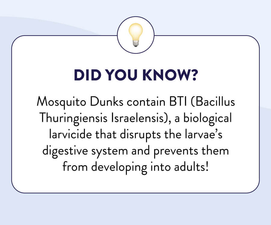 💡Did You Know Mosquito Dunks contain BTI (Bacillus Thuringiensis Israelensis), a biological larvicide that disrupts the larvae’s digestive system and prevents them from developing into adults!