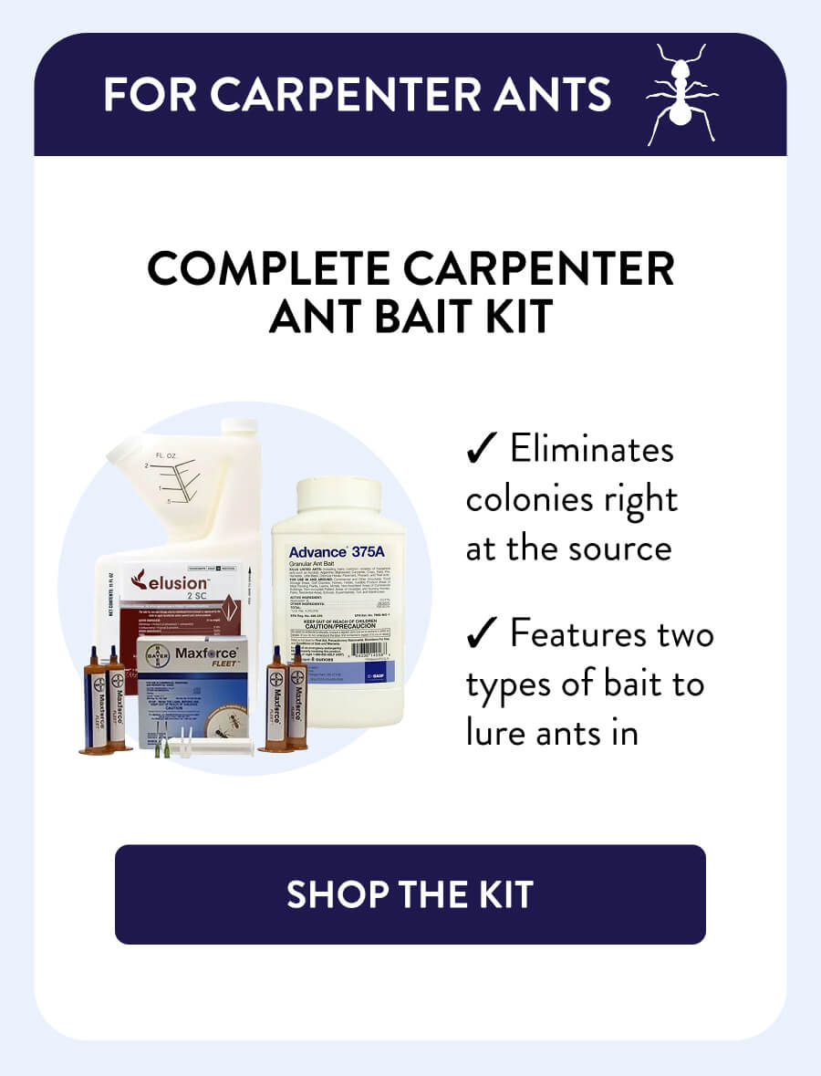 For Carpenter Ants Complete Carpenter Ant Bait Kit – Eliminates colonies right at the source – Features two types of bait to lure ants in [SHOP THE KIT]