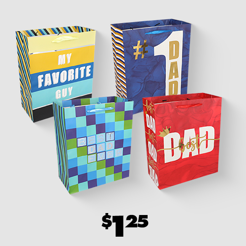 4 large Father's Day gift bags
