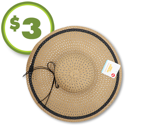 $3 women's straw beach hat