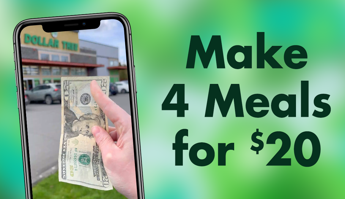 "Make 4 Meals for $20" and a picture of a phone showing @DollarTreeDinners' video on social media