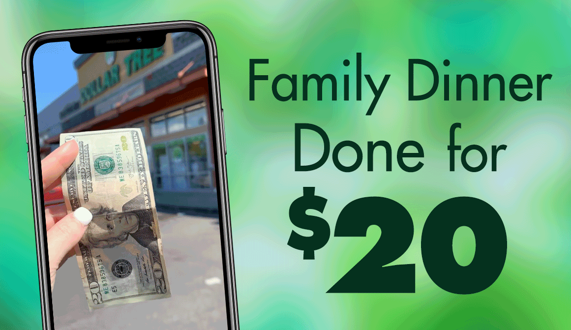 "Make 4 Meals for $20" and a picture of a phone showing @DollarTreeDinners' video on social media