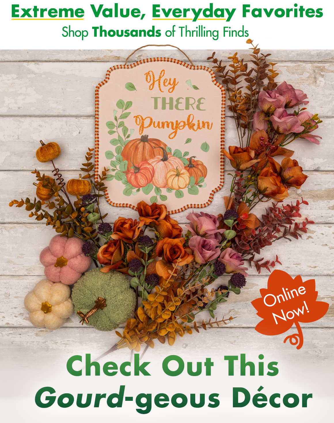 "Extreme Value, Everyday Favorites. Shop thousands of Thrilling Finds" and a picture of fall pumpkins, fall florals, and a fall sign with a headline saying "Check Out this Gourd-geous Décor"