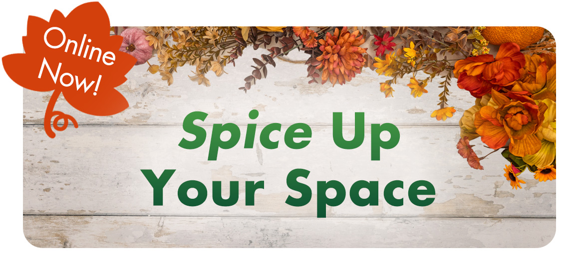 Online Now! Spice up your Space