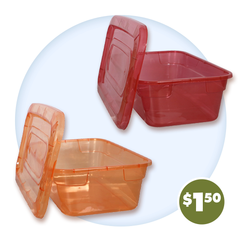 Storage Boxes with Lids