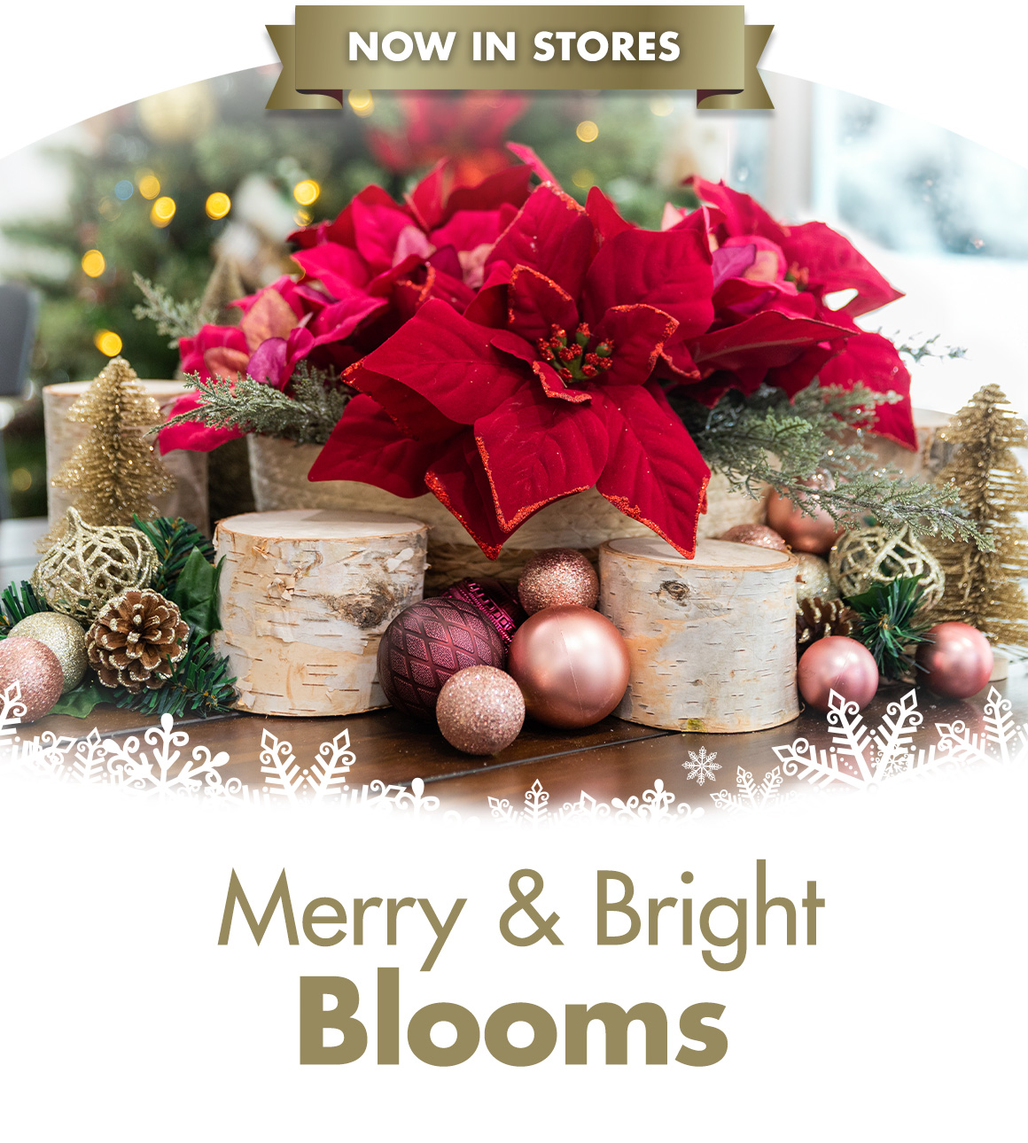 Floral arrangement of poinsettias with snoflake border and headline saying "Merry & Bright Blooms "