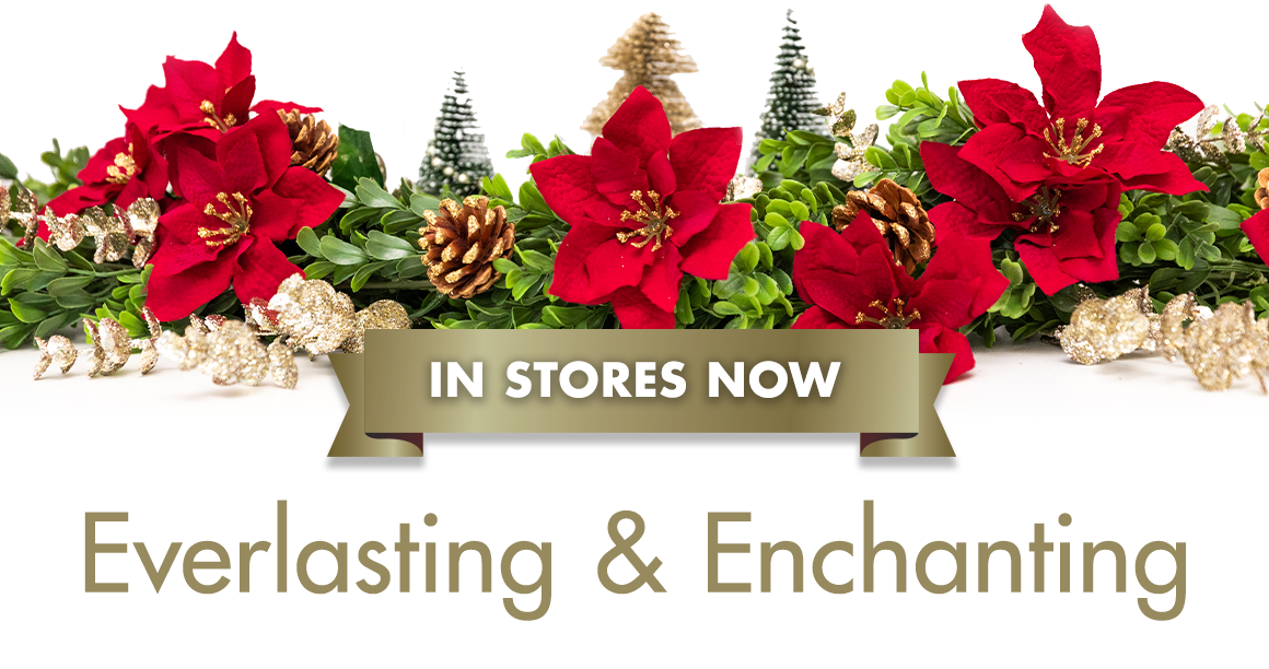Poinsettia and pinecone and greenery graphics above "In Stores Now Everlasting and Enchanting"