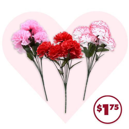 7-Stem Carnation Bushes