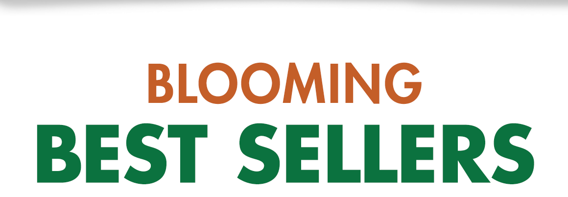 Headline: Blooming Best Sellers