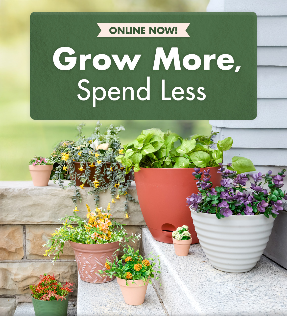 Headline: Grow More, Spend Less and image of potted plants on porch stairs