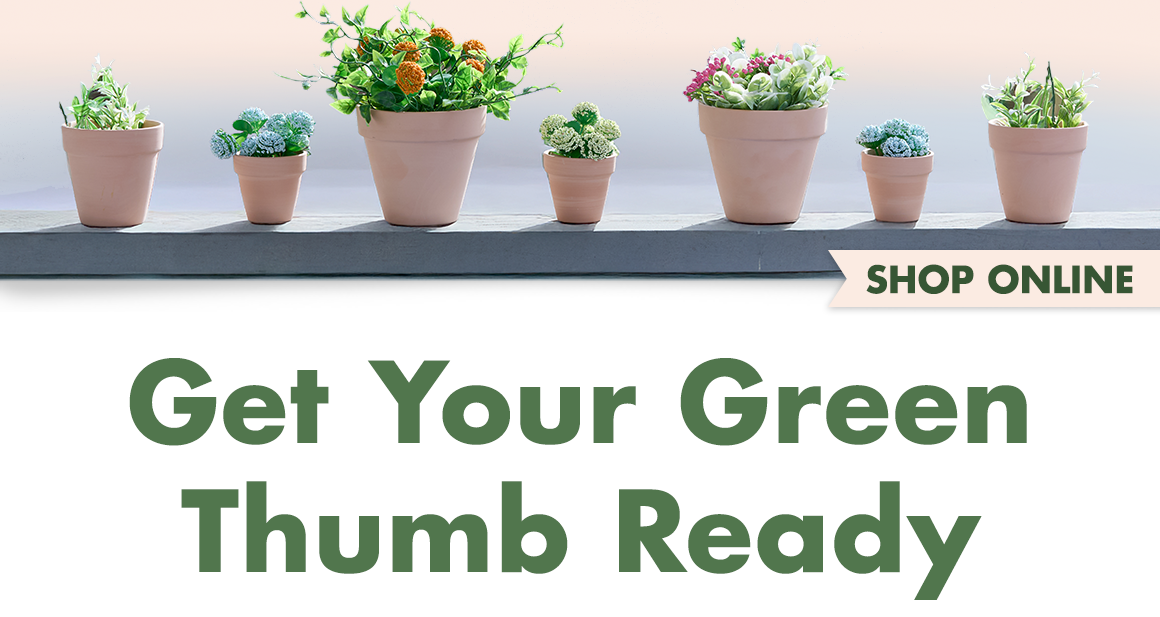 Headline: Get Your Green Thumb Ready and image of potted plants on a patio