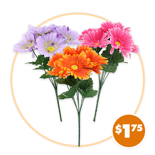 Daisy Bushes, 1-ct.