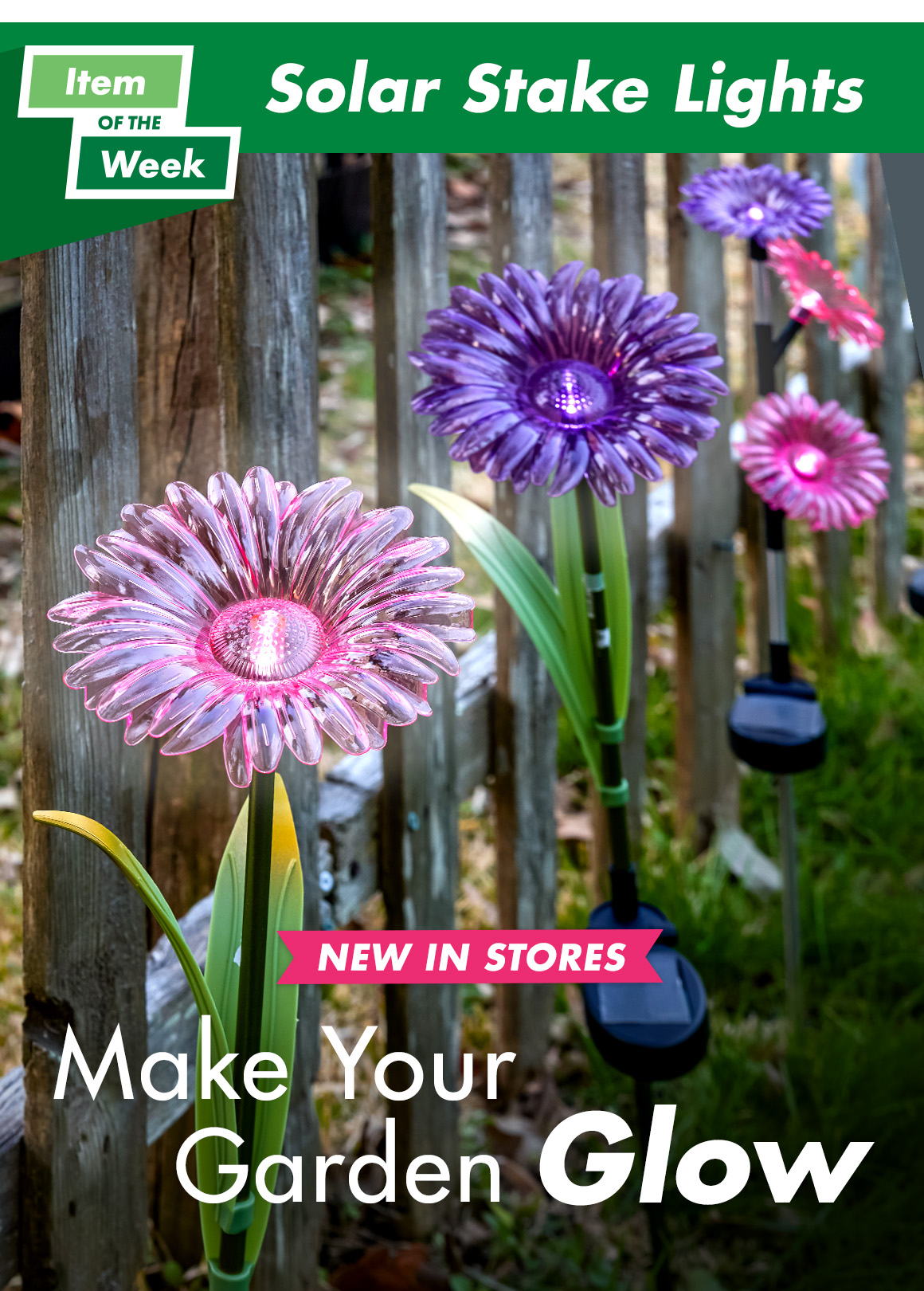 Headline: Item of the Week, Make Your Garden Glow and an image of sunflower-shaped solar-powered garden stake lights