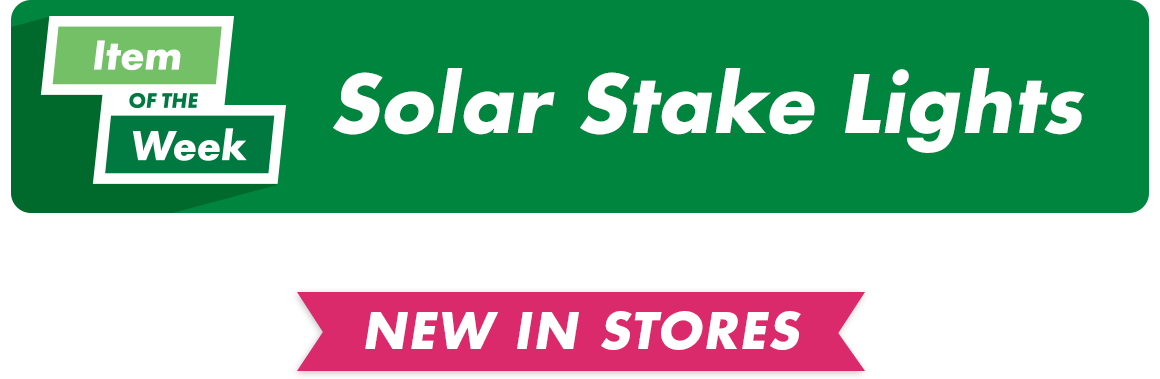 Headline saying "Item of the Week: Solar Stake Lights”