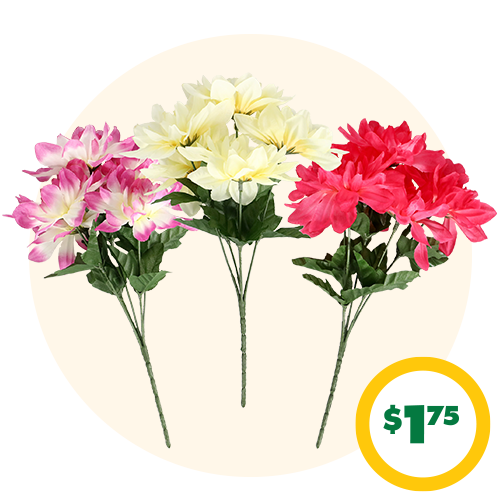 $1.75 12-in. Dahlia Bushes
