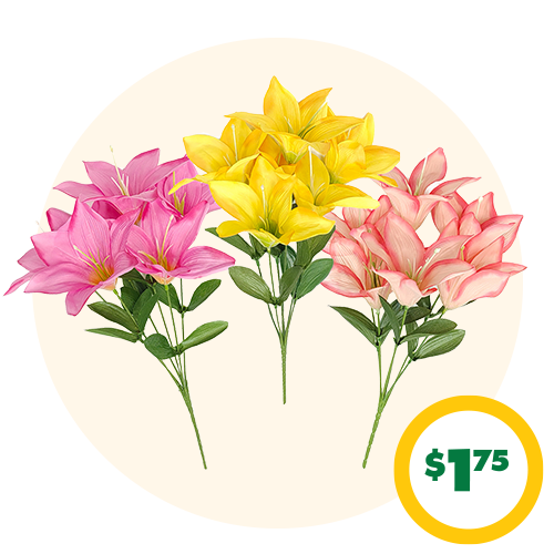 $1.75 12-in. Lily Bushes