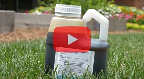 How to Use Drive XLR8 Crabgrass Killer