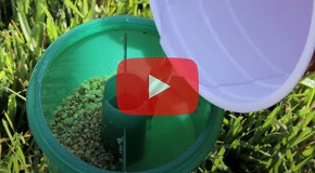 How to Bait for Ants Outdoors